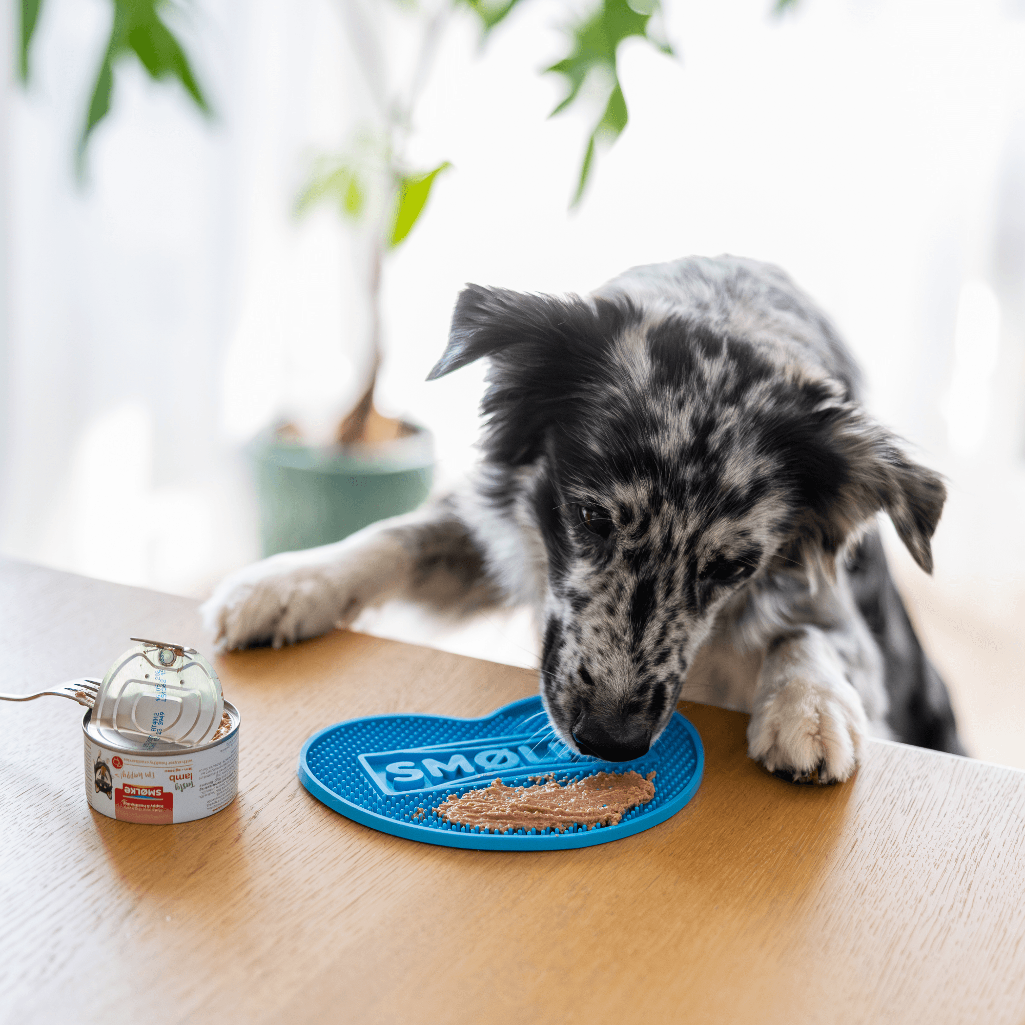 Soft Paté Hond Kalkoen