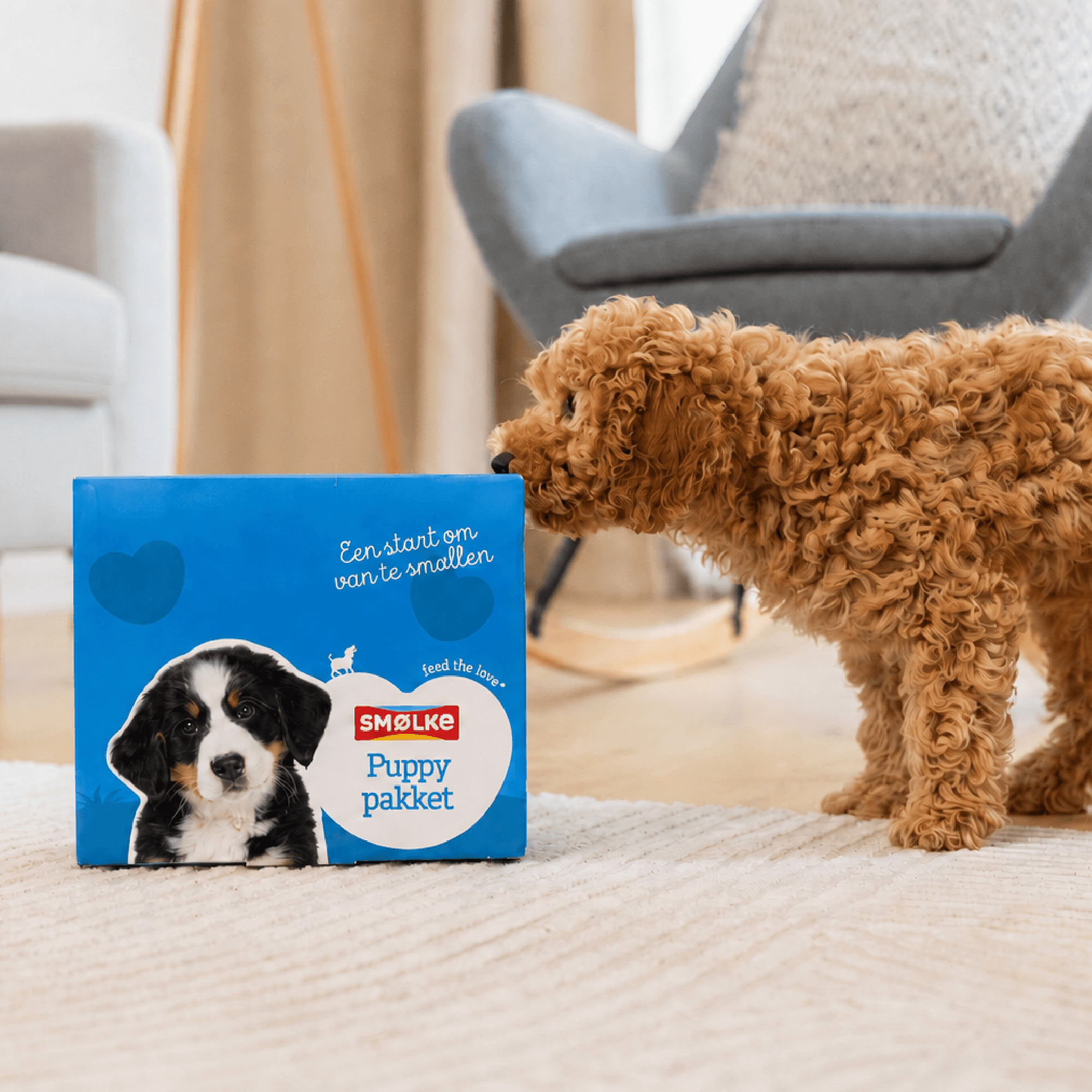 Puppypakket Mini & Medium