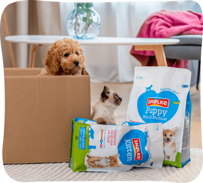 Smølke snacks en hond
