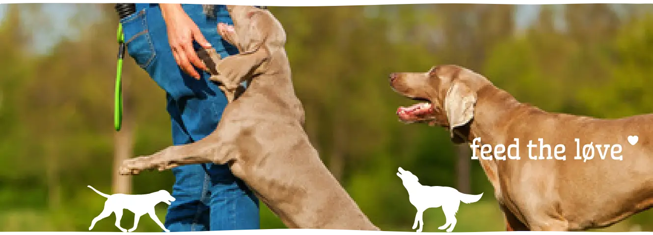 Mijn puppy springt en hapt