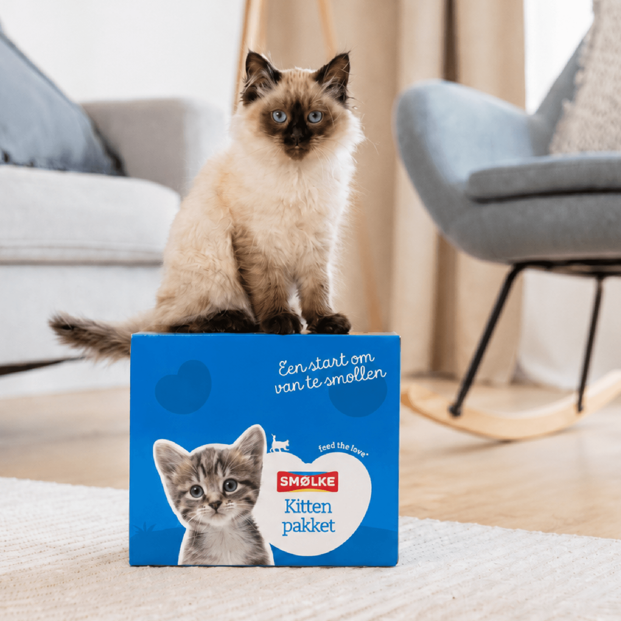 Kittenpakket