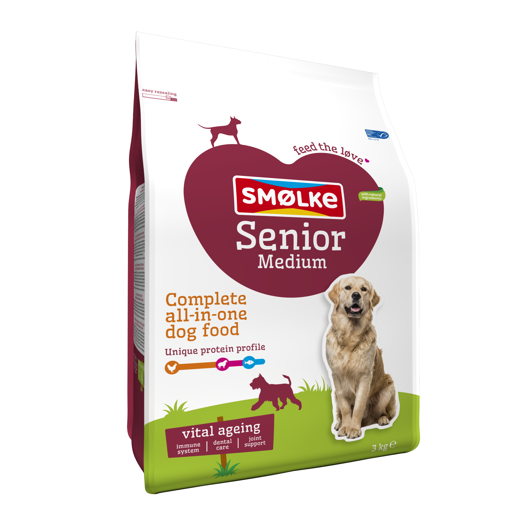 Hond Senior Medium