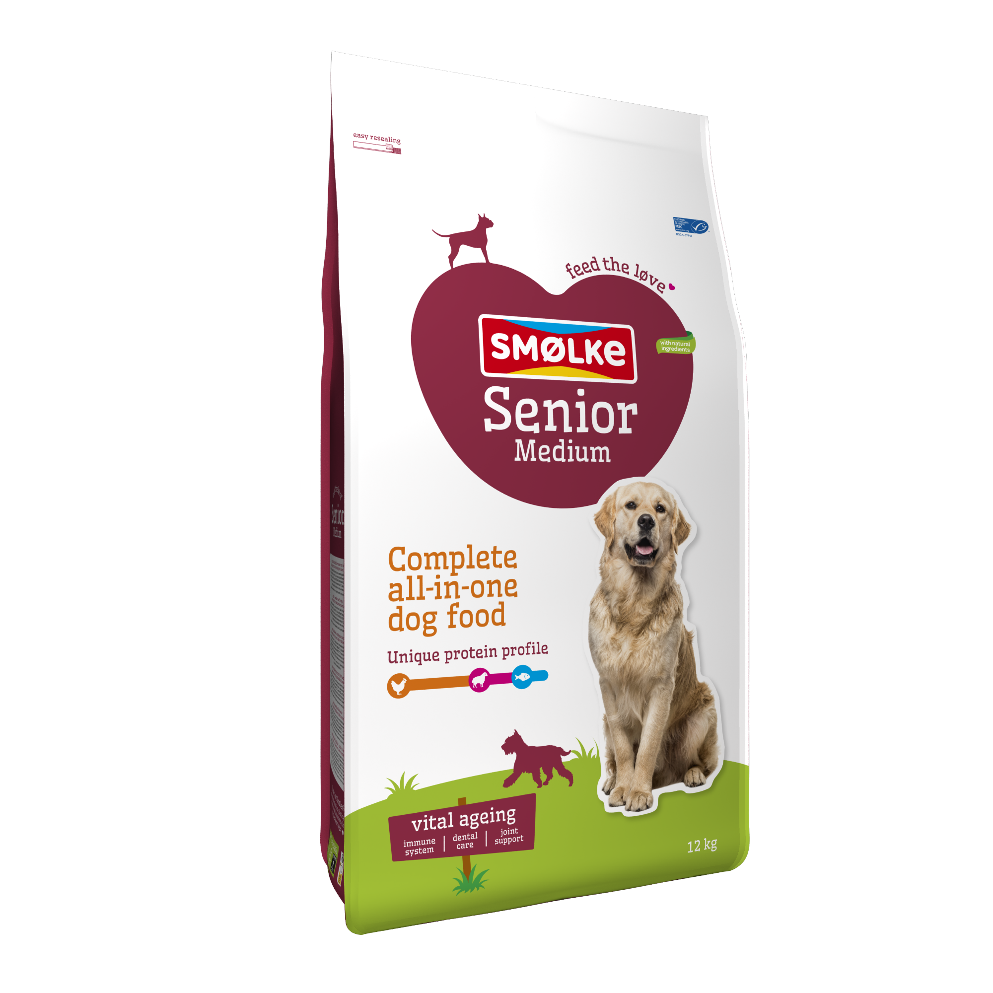 Hond Senior Medium