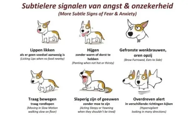 Lichaamstaal angstige hond Dr Sophia Yin