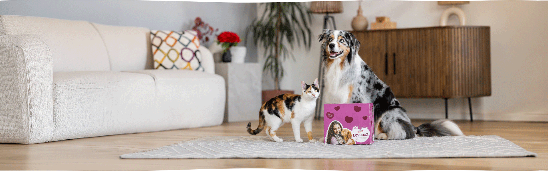 Smølke Lovebox met hond en kat