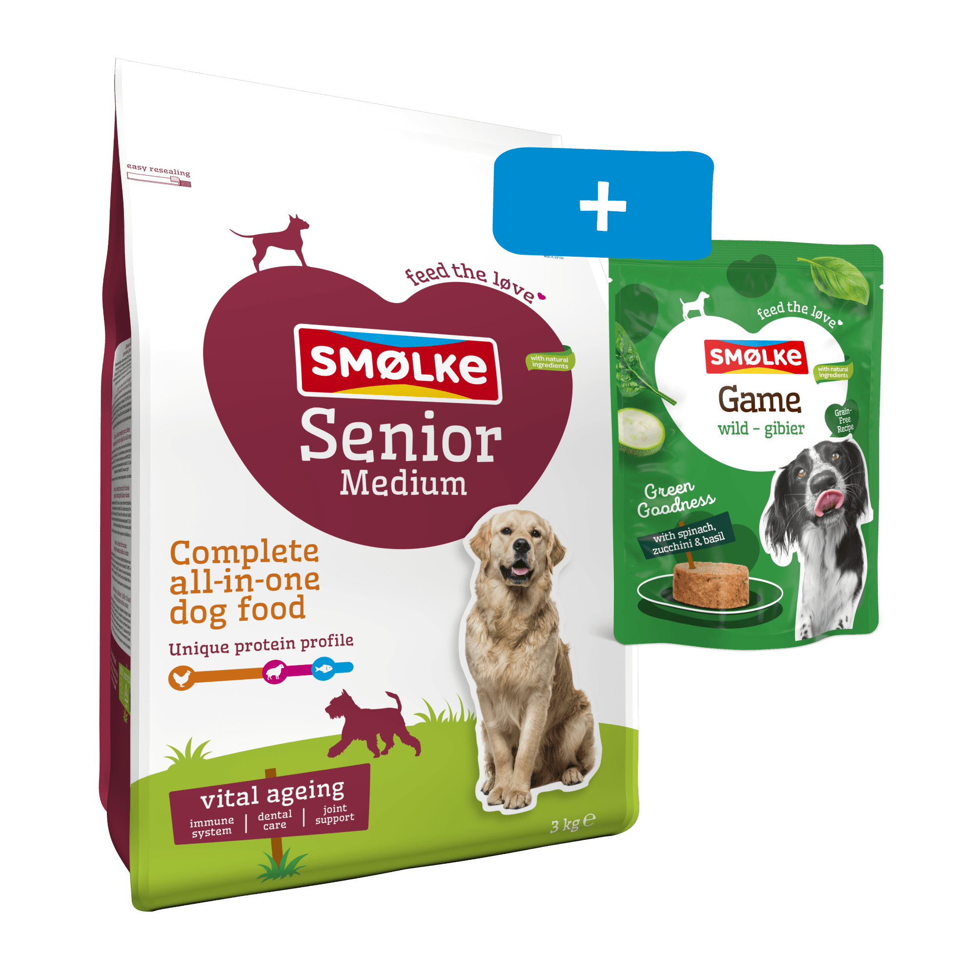 Hond Senior Medium