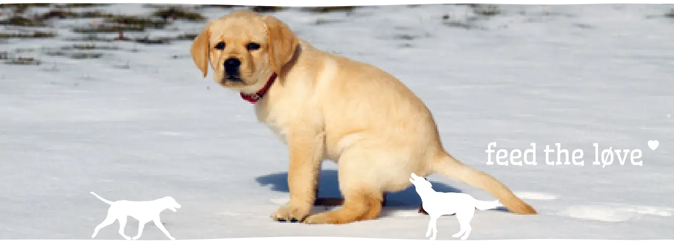 Help! Mijn hond eet poep