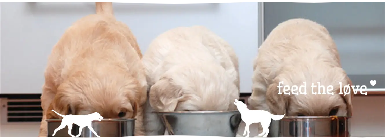 Puppy voeding