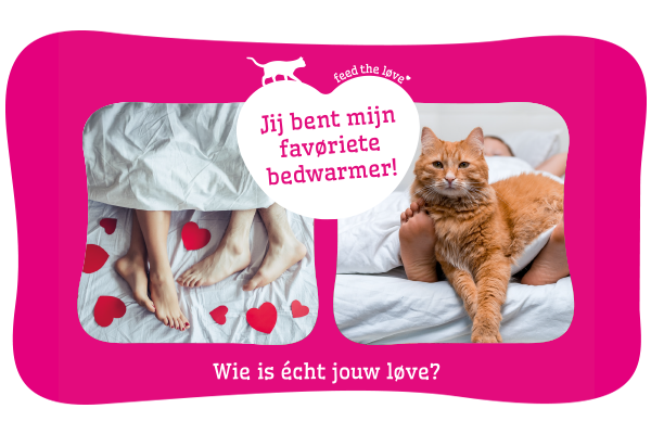 Altijd aan jouw zijde