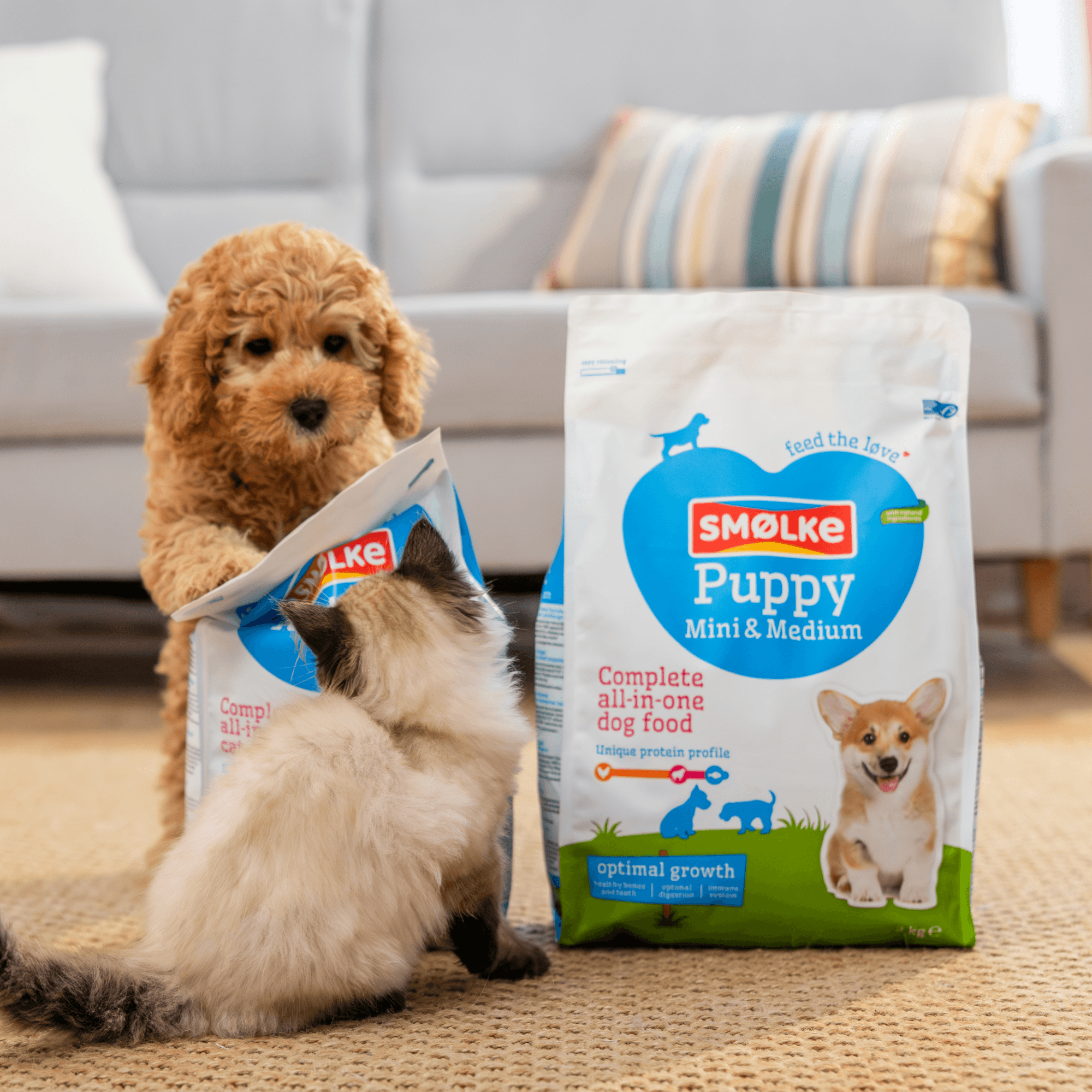 Puppypakket Mini & Medium