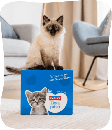 Proefpakket kitten