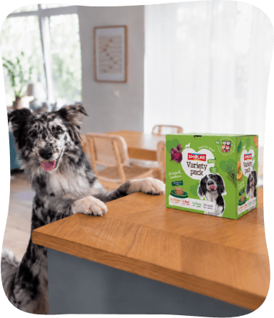 Hond met de Smølke Goodness multipack op aanrecht
