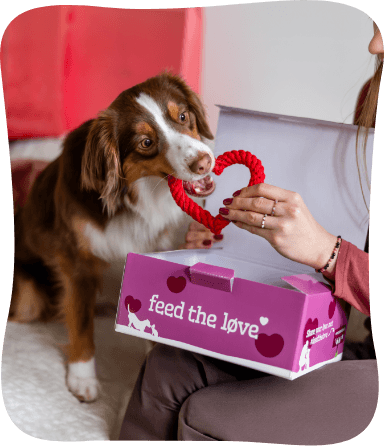 Hond met de Smølke Lovebox