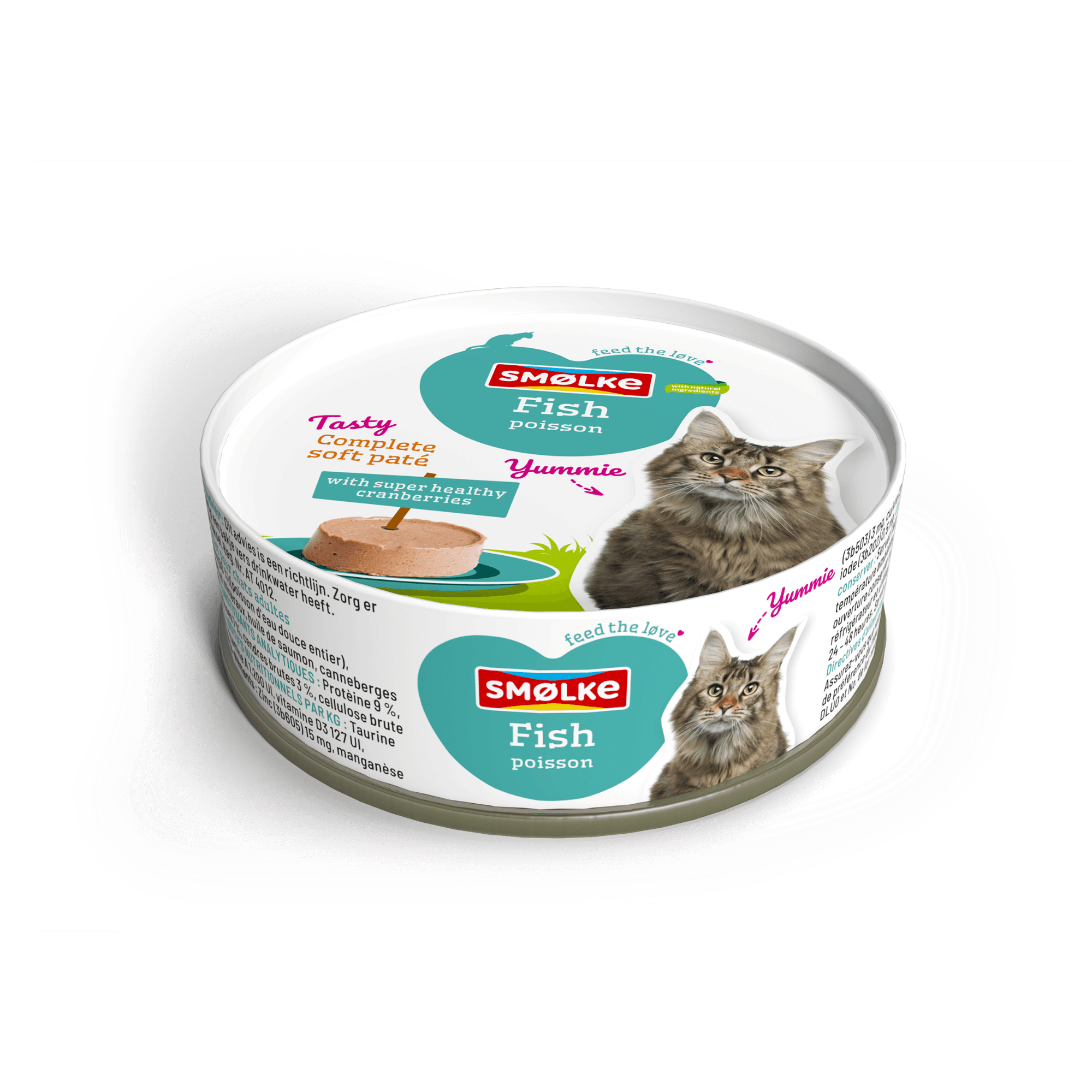 Løvebox Kat