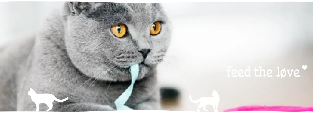 Kattenrassen