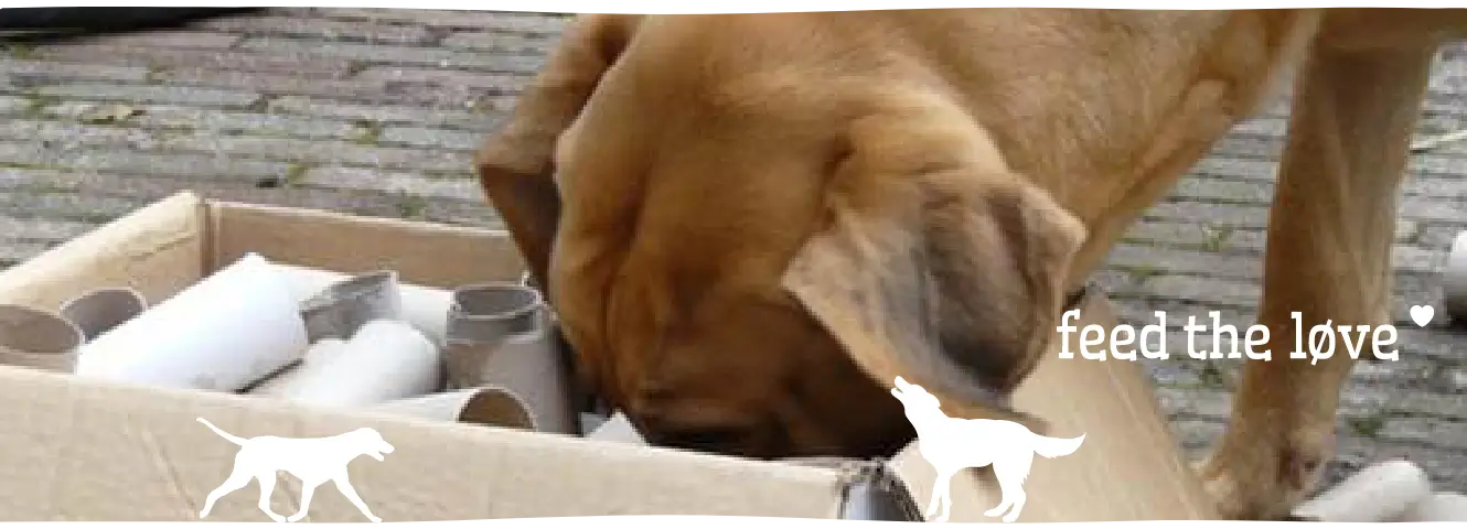 Hersenwerk voor honden