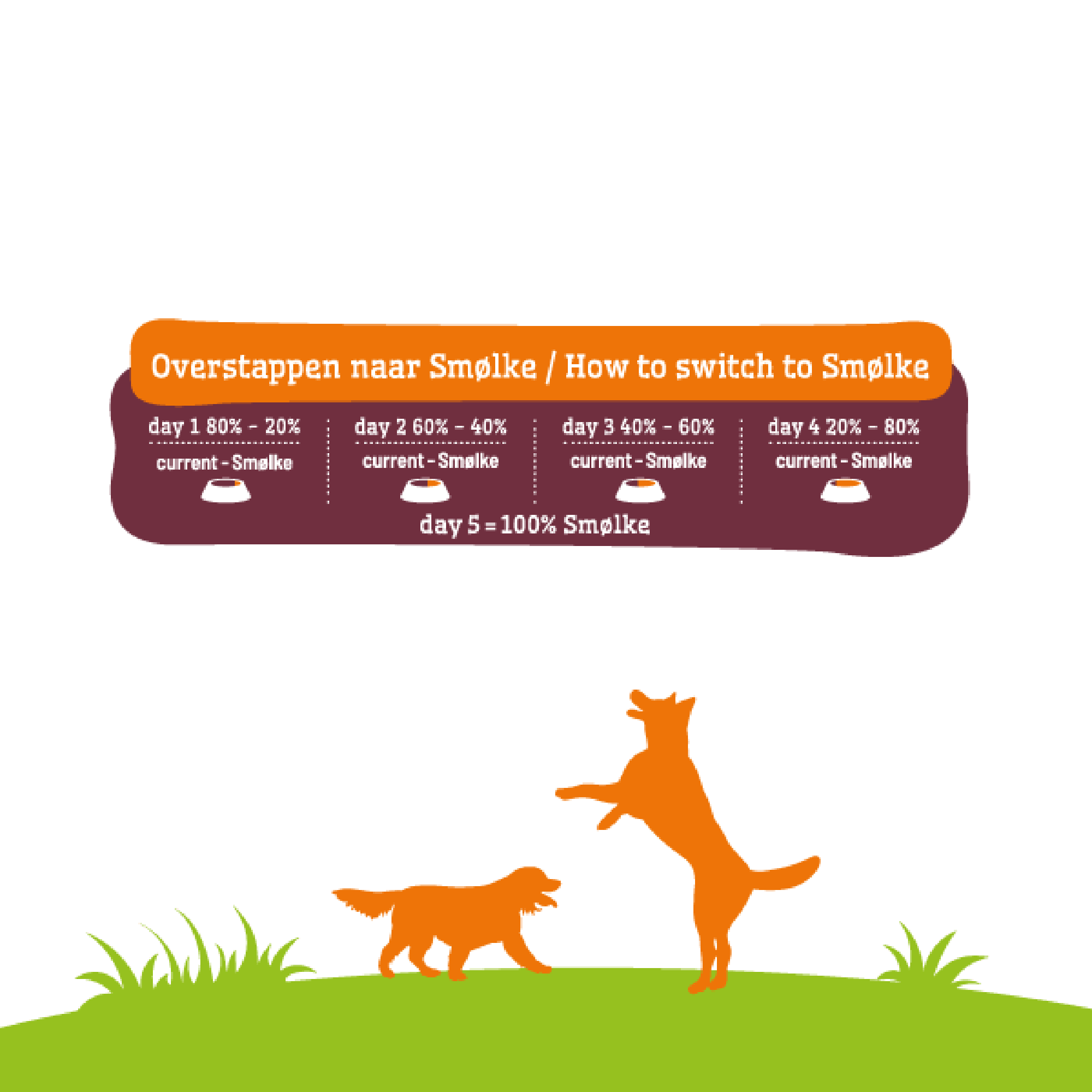 Hond Senior Maxi