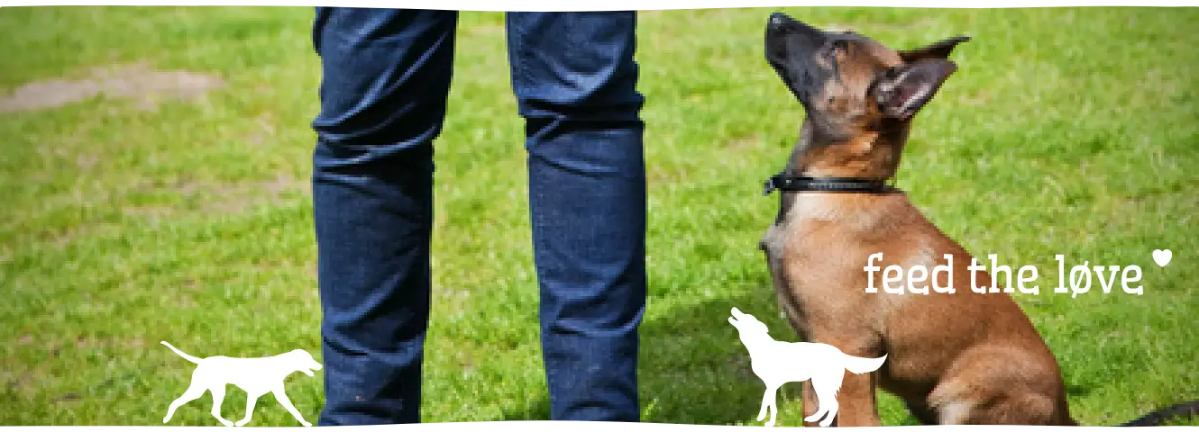 Wel of niet naar puppycursus