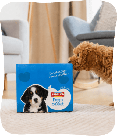 Proefpakket puppy