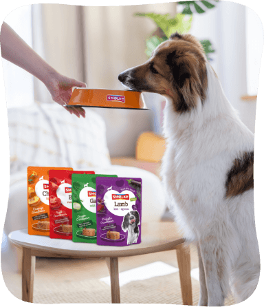 Hond met alle smaken Smølke Goodness
