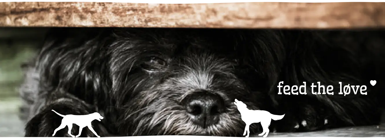 Stress signalen bij honden