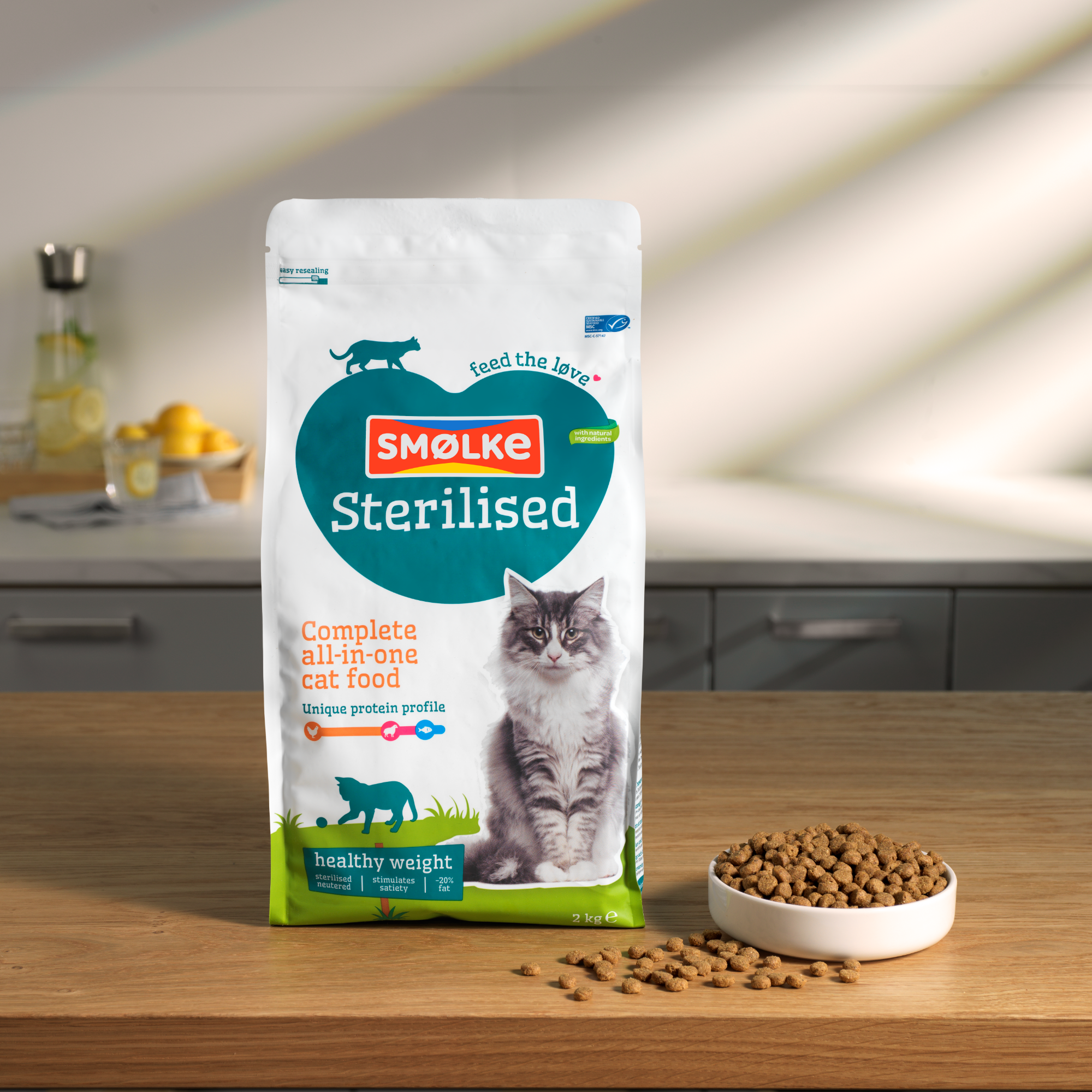 Kat Sterilised