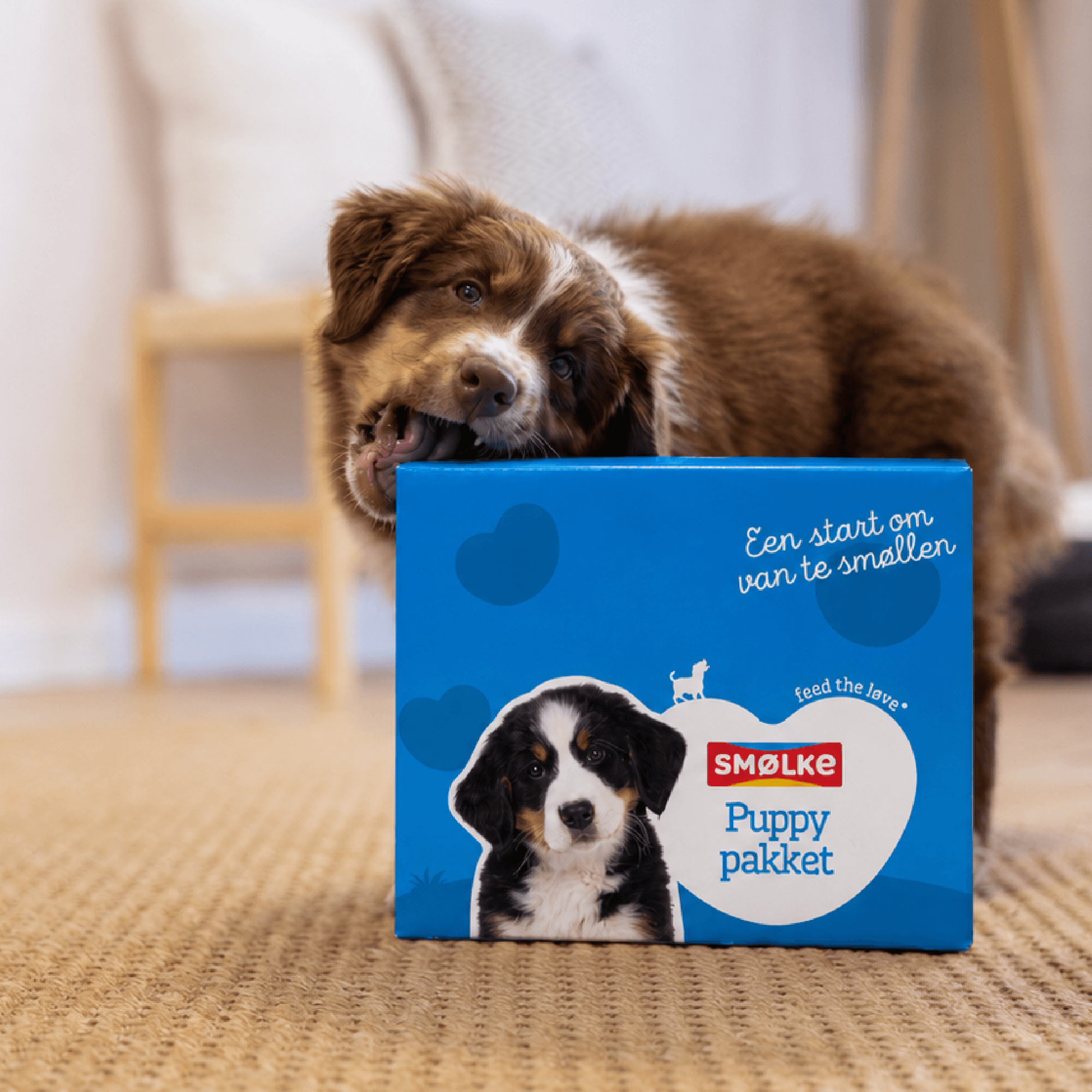 Puppypakket Maxi