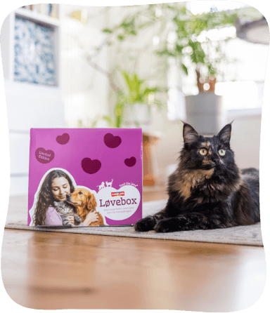 Kat met de Smølke Lovebox