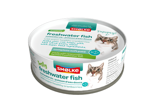 smolke kat soft pate freshwater fish