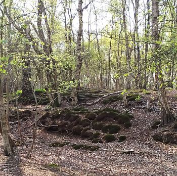 wandelgebied-emmer-schans