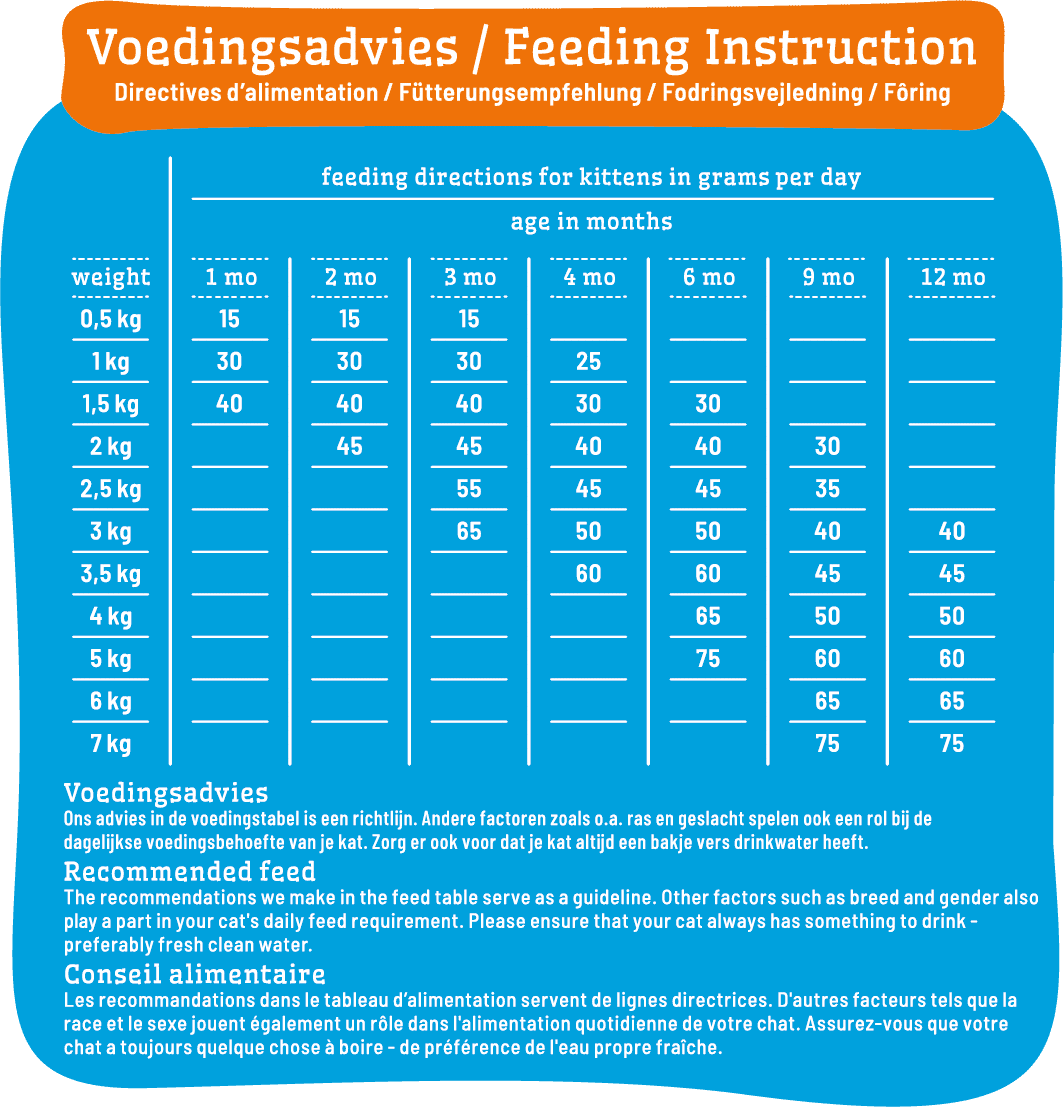 smolke kitten voedingsadvies