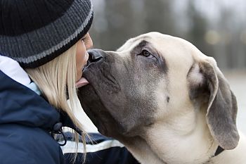 Is je hond te afhankelijk?