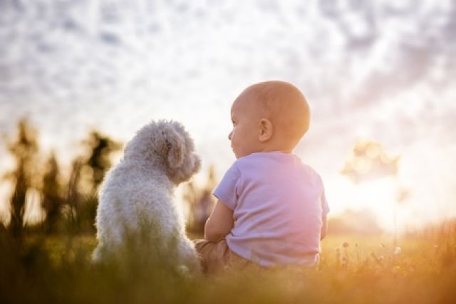 Pup en baby met zonsondergang