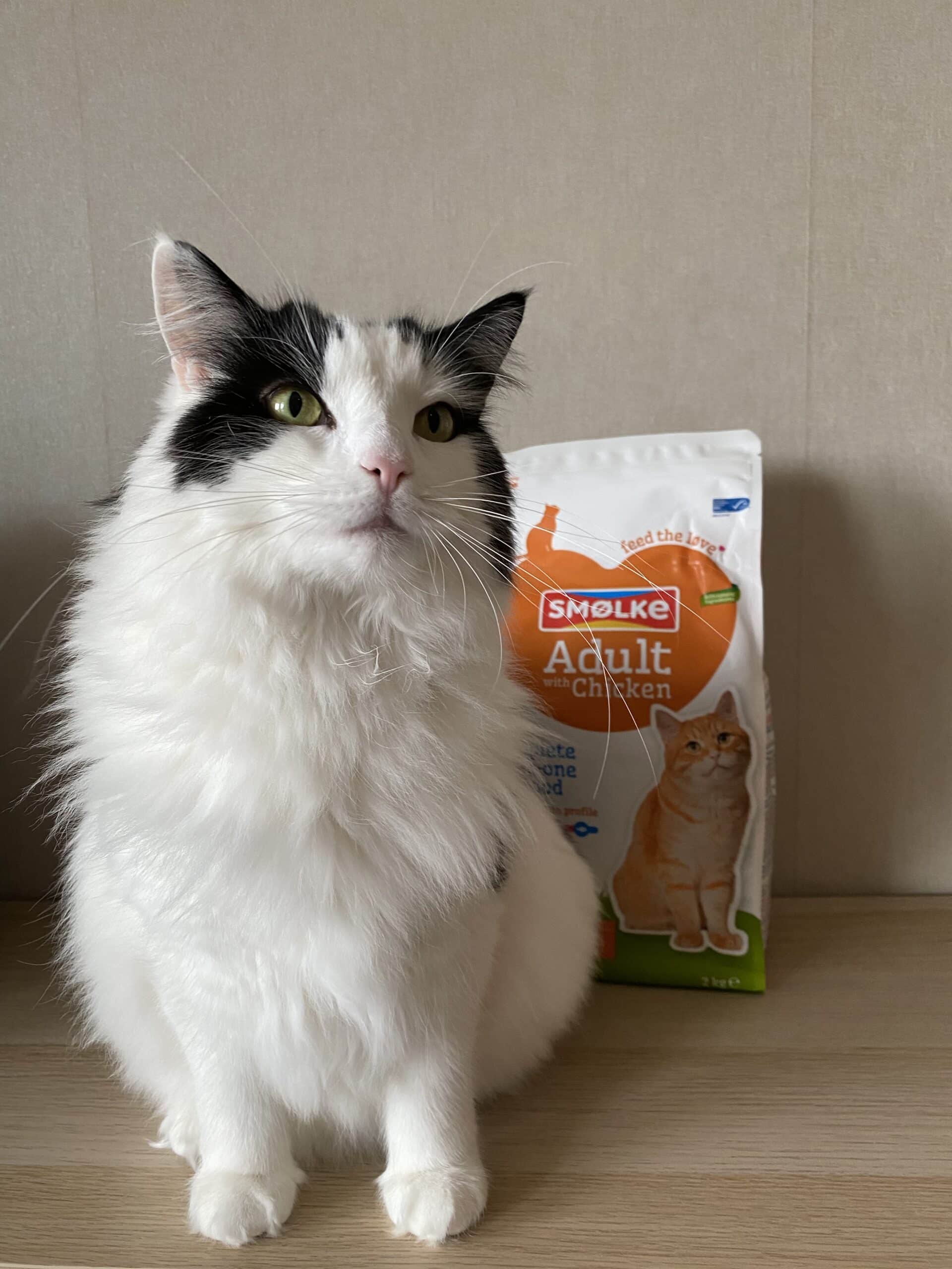 review-smolke-adult-chicken-lisanne