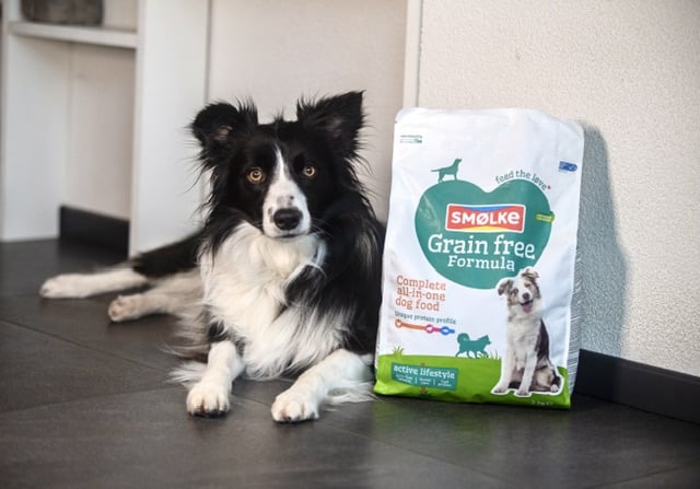Review-grainfree-Elene