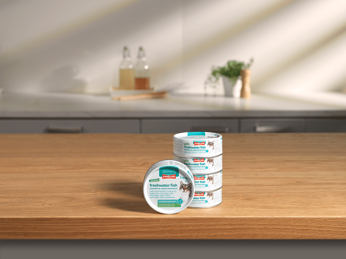 smolke kat soft pate fish